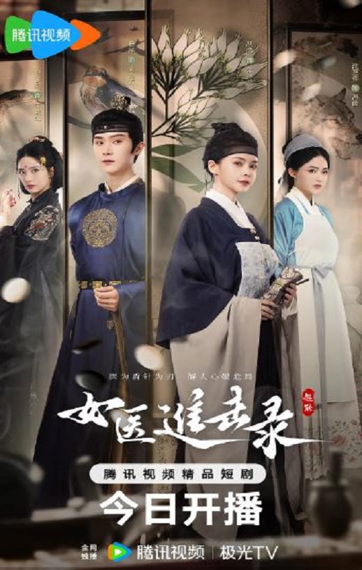 2025年国产大陆电视剧《女医进击录》全28集