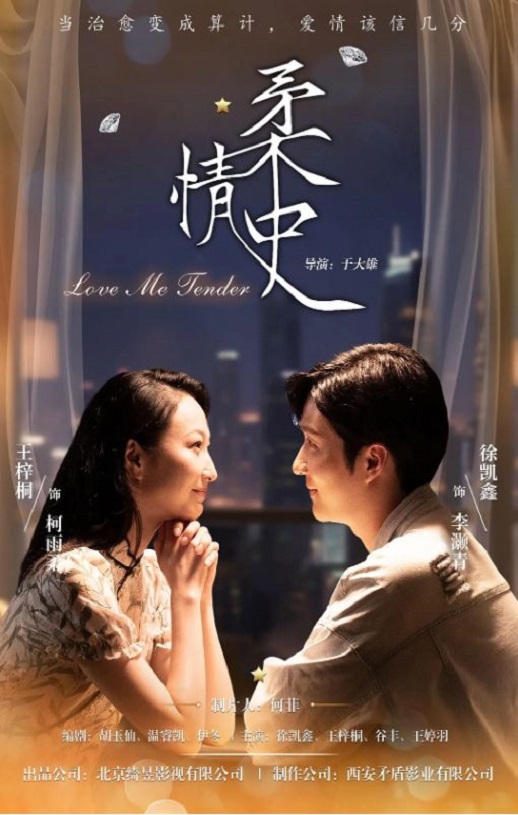 2025年国产大陆电视剧《柔情史》全24集