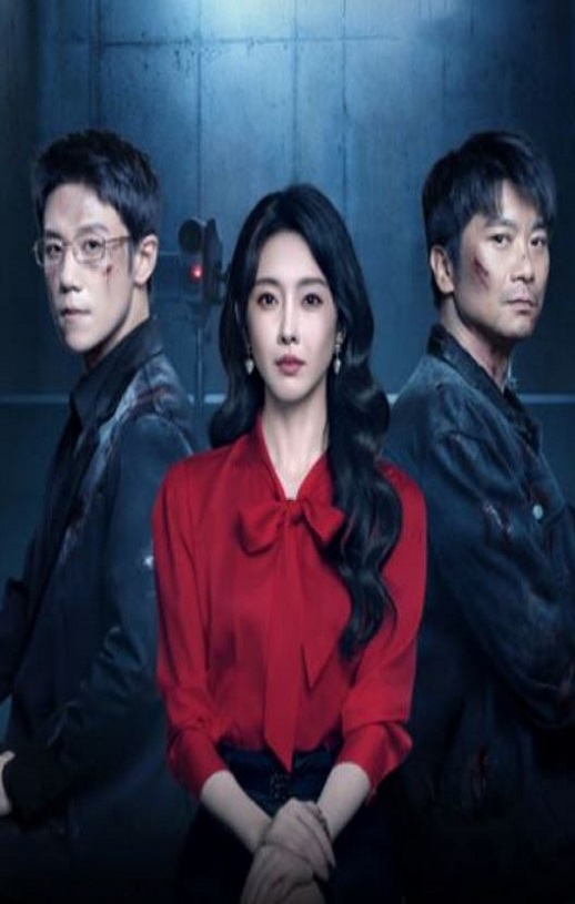 2025年国产大陆电视剧《消失的凶手》全16集