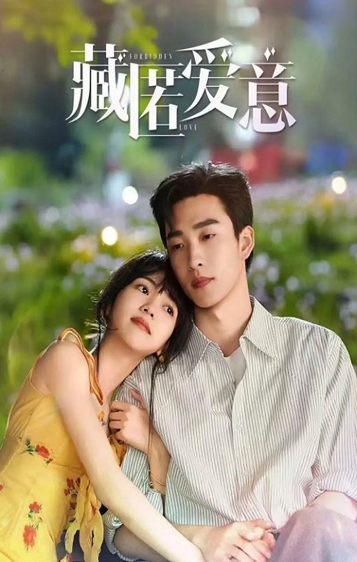 2026年国产电视剧《藏匿爱意》 全24集